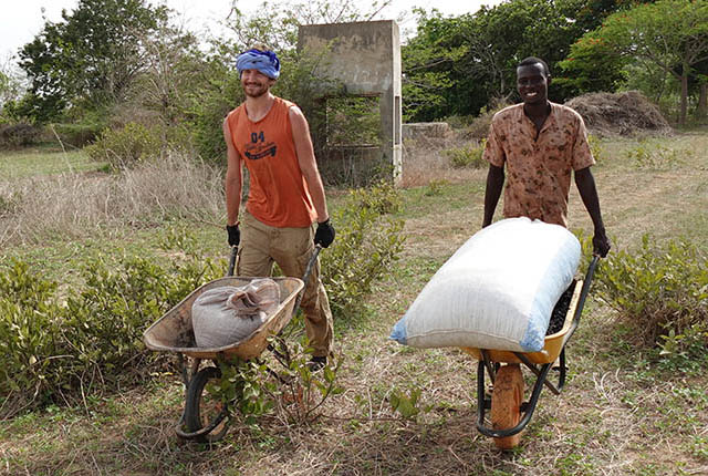 Zwei Männer mit jeweils einer Schubkarre transportieren Säcke im Waldgarten